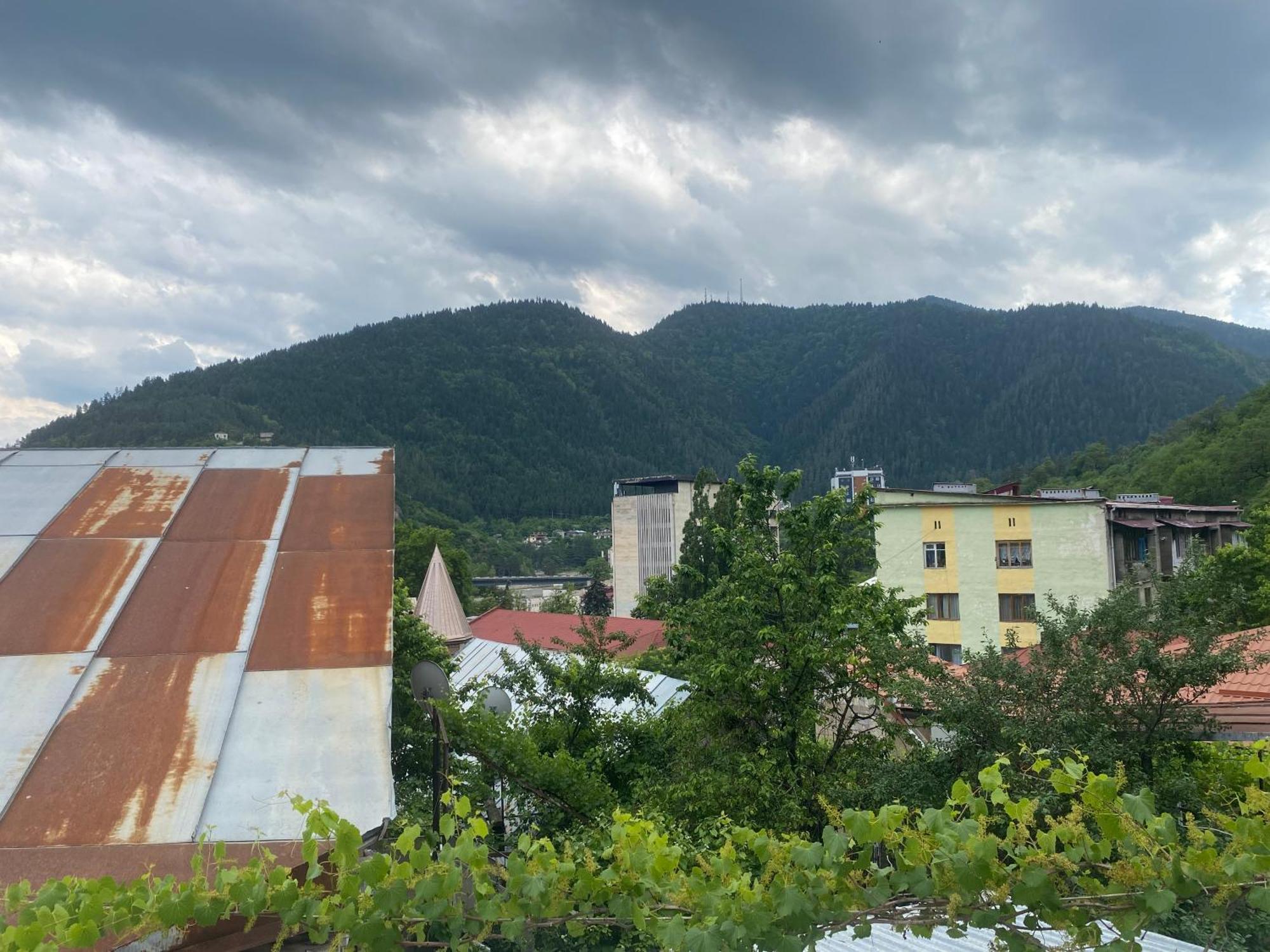 Hillside Guesthouse Borjomi Eksteriør bilde